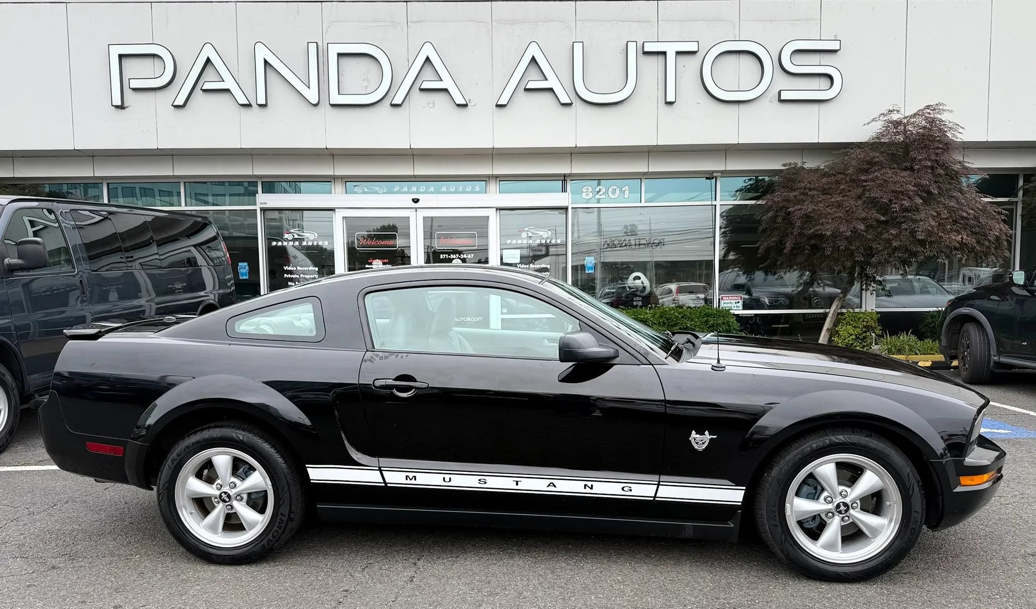 Used 2009 Ford Mustang Premium RWD image 7
