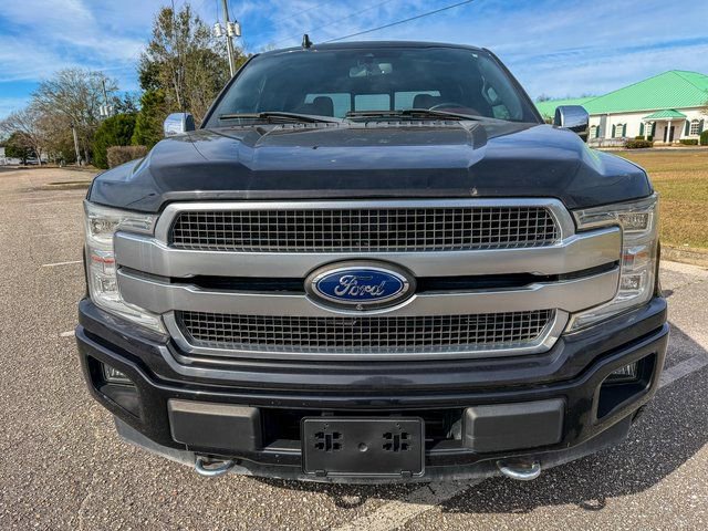 Used 2019 Ford F150 Platinum w/ Equipment Group 701A Luxury image 6