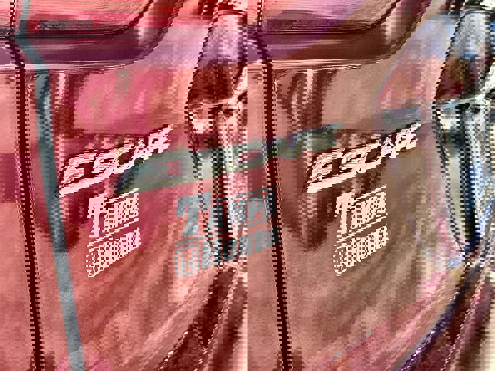 Used 2014 Ford Escape SE w/ Equipment Group 201A image 7