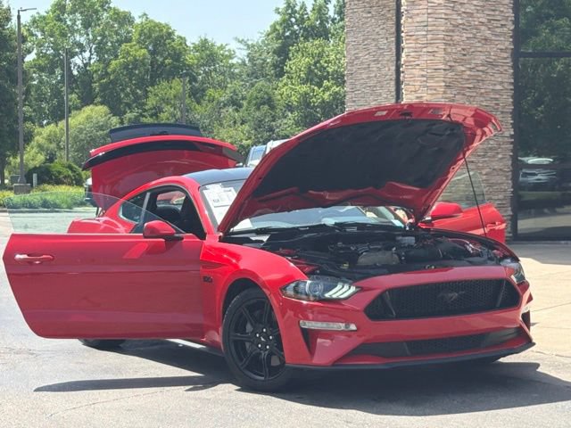 Used 2019 Ford Mustang GT w/ Equipment Group 301A RWD image 9