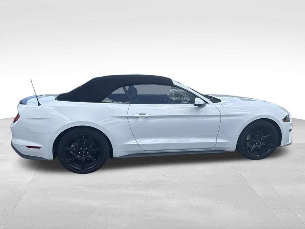 Used 2019 Ford Mustang Premium w/ Black Accent Package RWD image 19