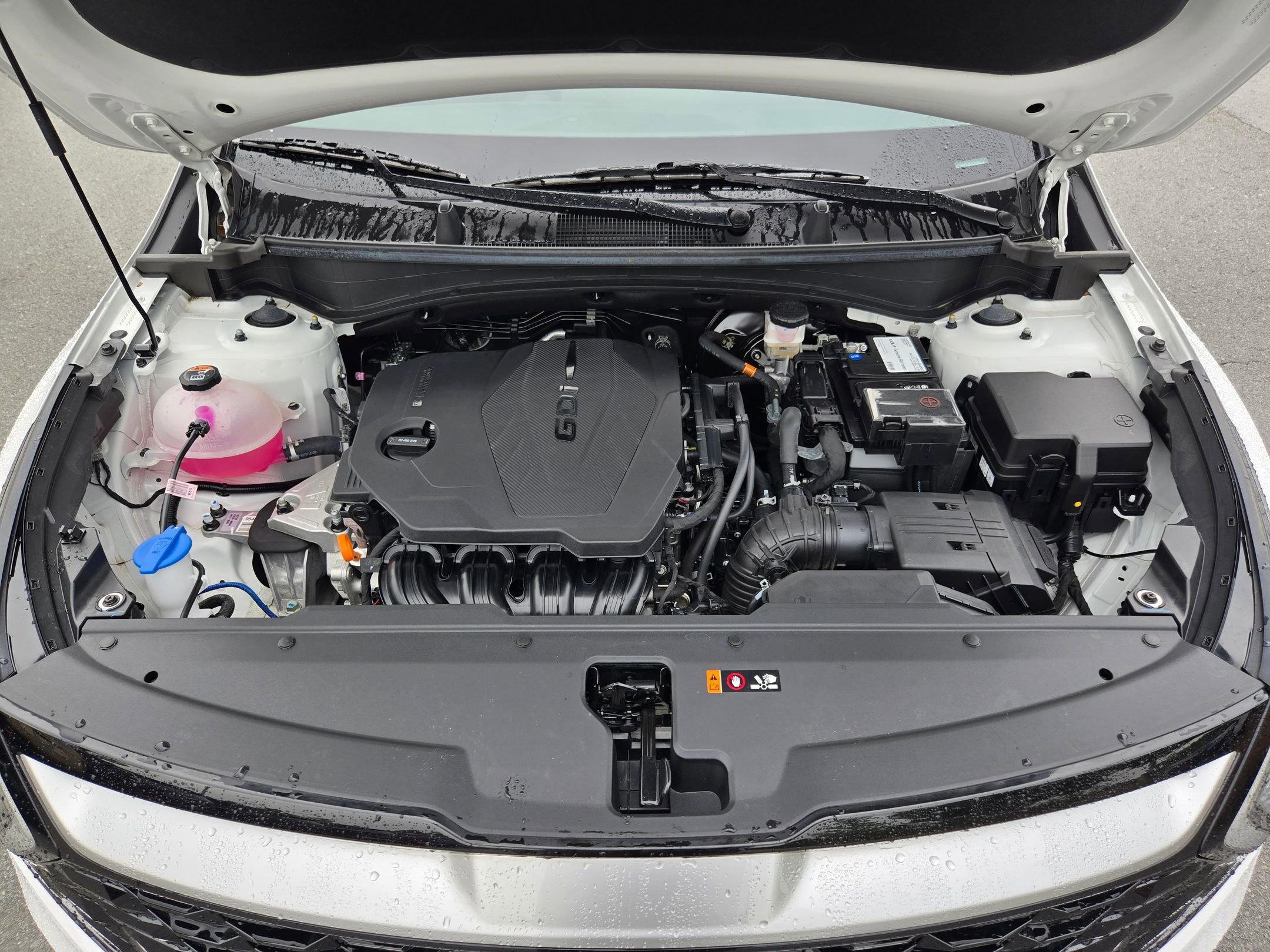 Used 2025 Kia Sportage EX w/ Premium Package FWD image 19