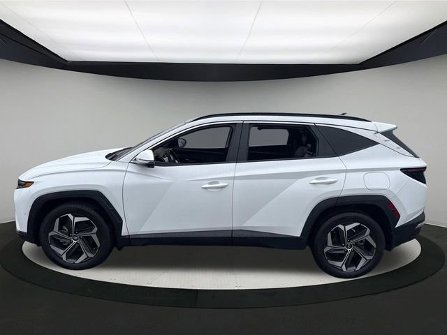 Certified 2022 Hyundai Tucson Limited image 13