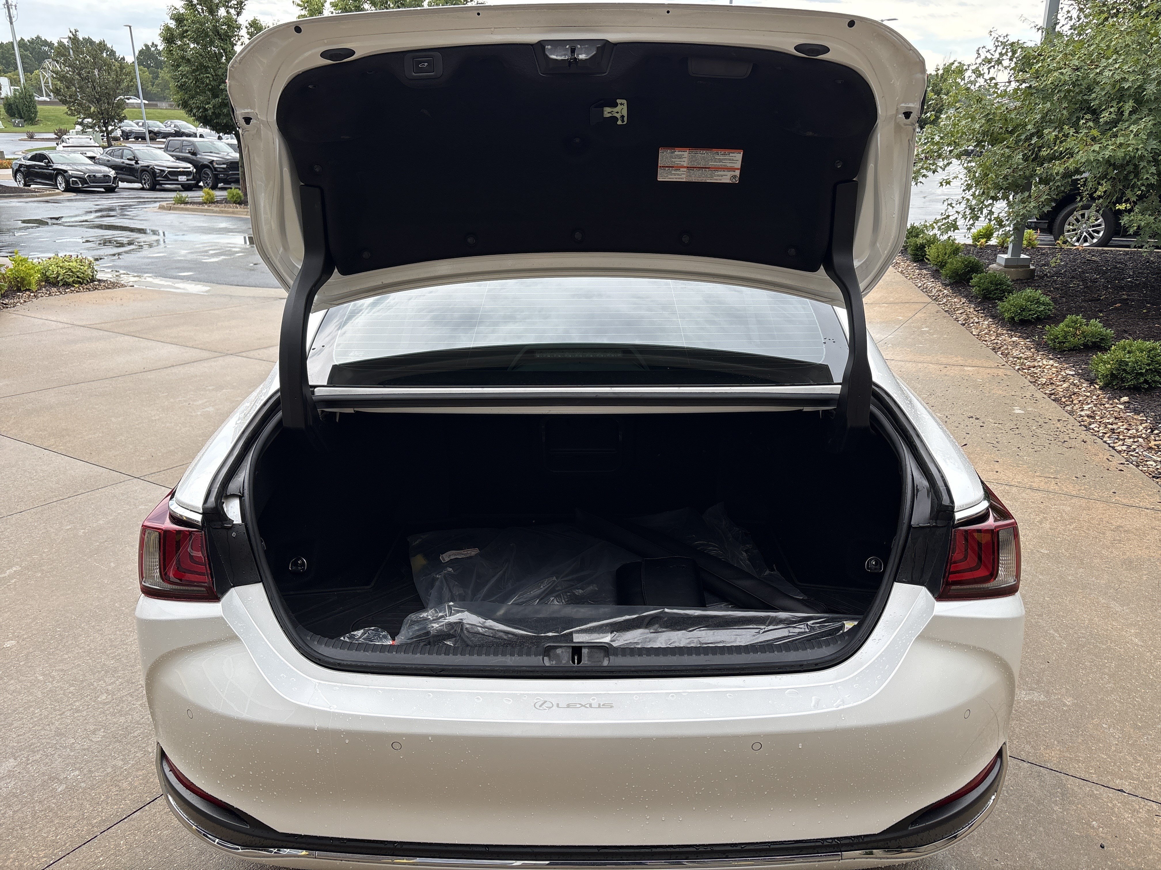 Certified 2022 Lexus ES 300h w/ Accessory Package FWD image 32