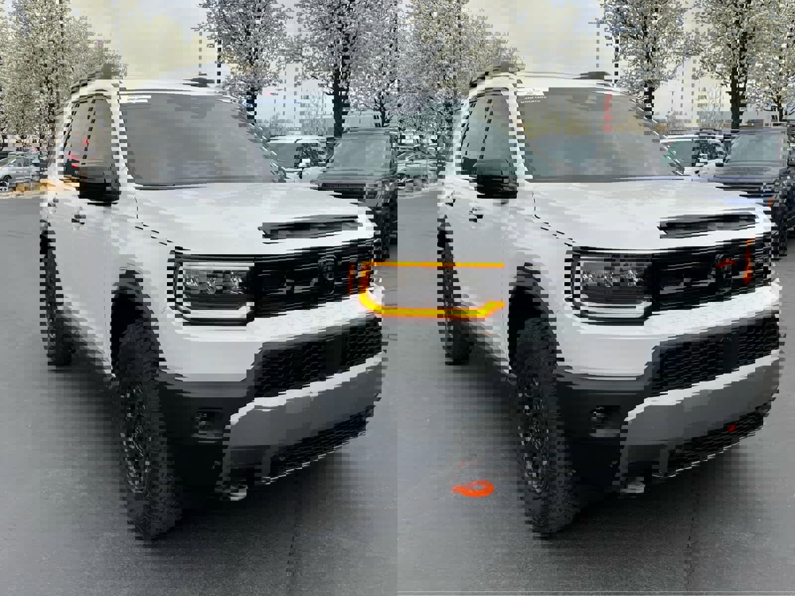 Used 2026 Honda Passport TrailSport Elite image 4