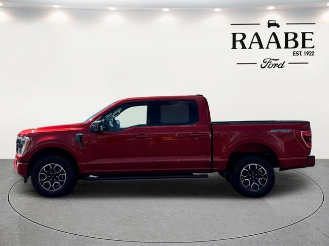 Used 2023 Ford F150 XLT w/ Equipment Group 302A High AWD/4WD image 4
