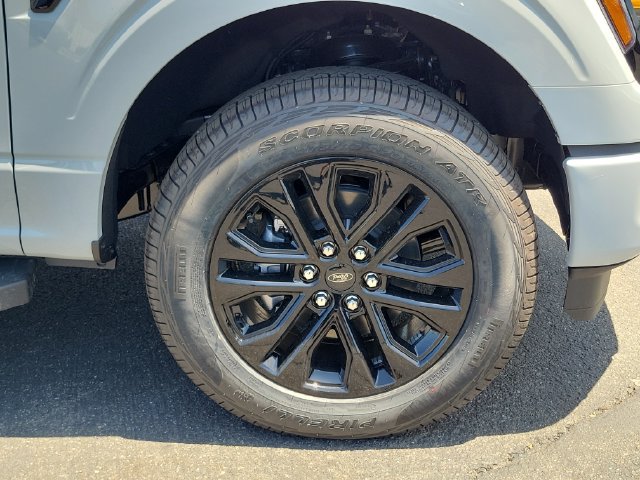 New 2026 Ford F150 XLT w/ Equipment Group 302A MID AWD/4WD image 6