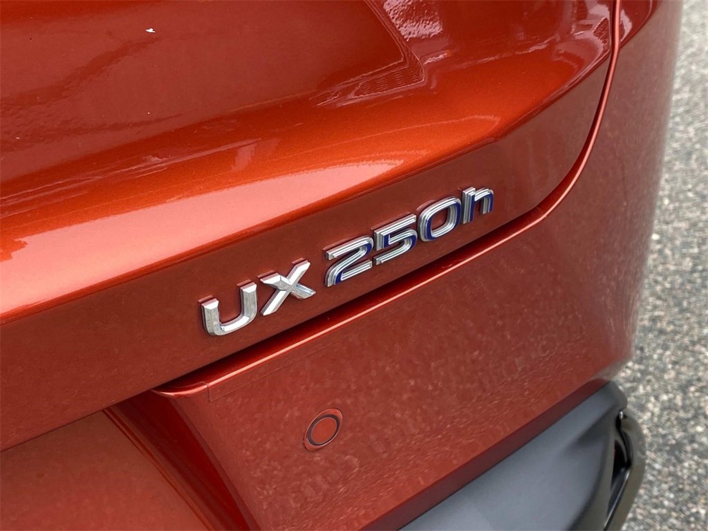 Used 2019 Lexus UX 250h F Sport image 12