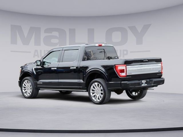Used 2021 Ford F150 Limited image 3
