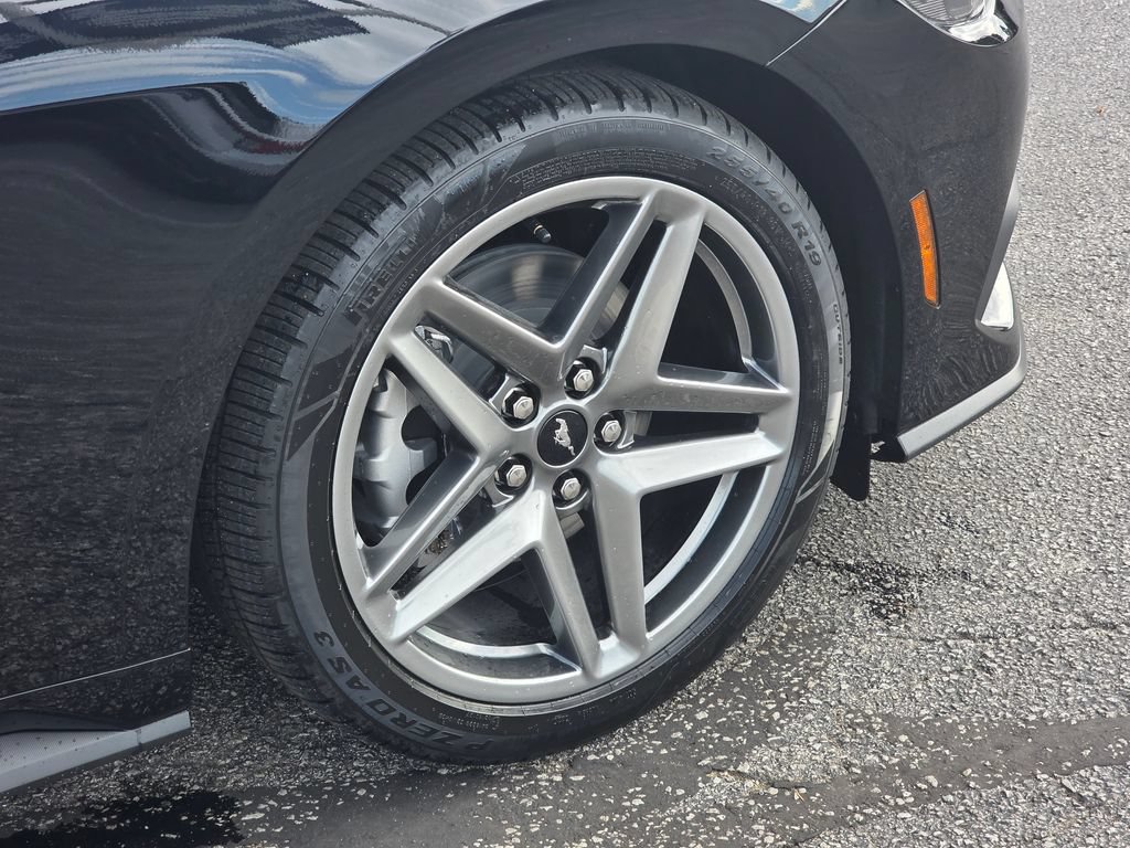 New 2026 Ford Mustang Premium RWD image 12
