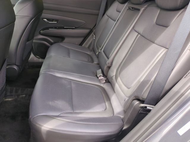 Certified 2025 Hyundai Tucson Limited image 15
