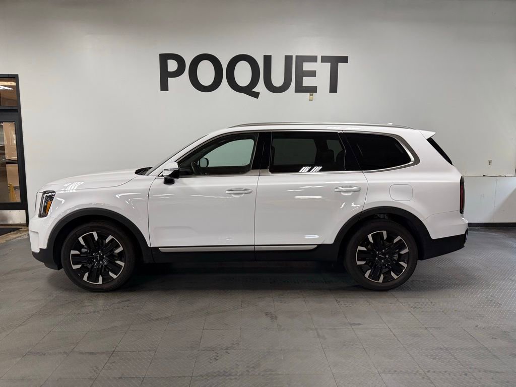 Used 2024 Kia Telluride SX Prestige image 1