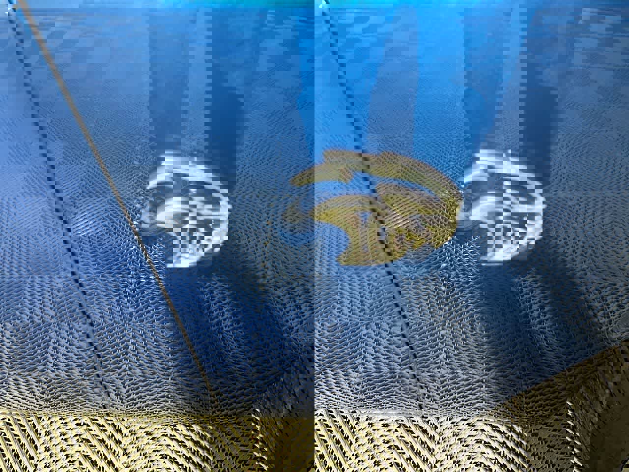 Used 2021 Dodge Challenger SRT Hellcat w/ Plus Package RWD image 12