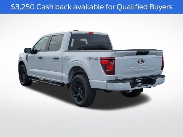 New 2025 Ford F150 STX w/ STX Black Appearance Package image 7