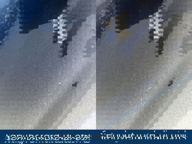 Used 2019 MAZDA CX-5 Touring image 11