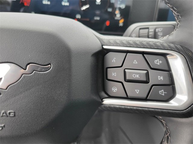 New 2026 Ford Mustang Coupe w/ Mustang Nite Pony Package image 20