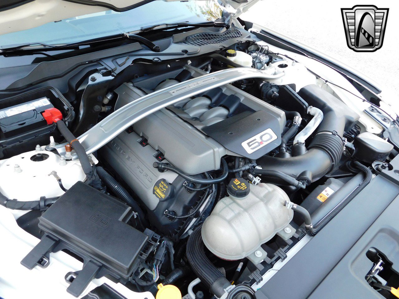 Used 2015 Ford Mustang 50 Years image 17