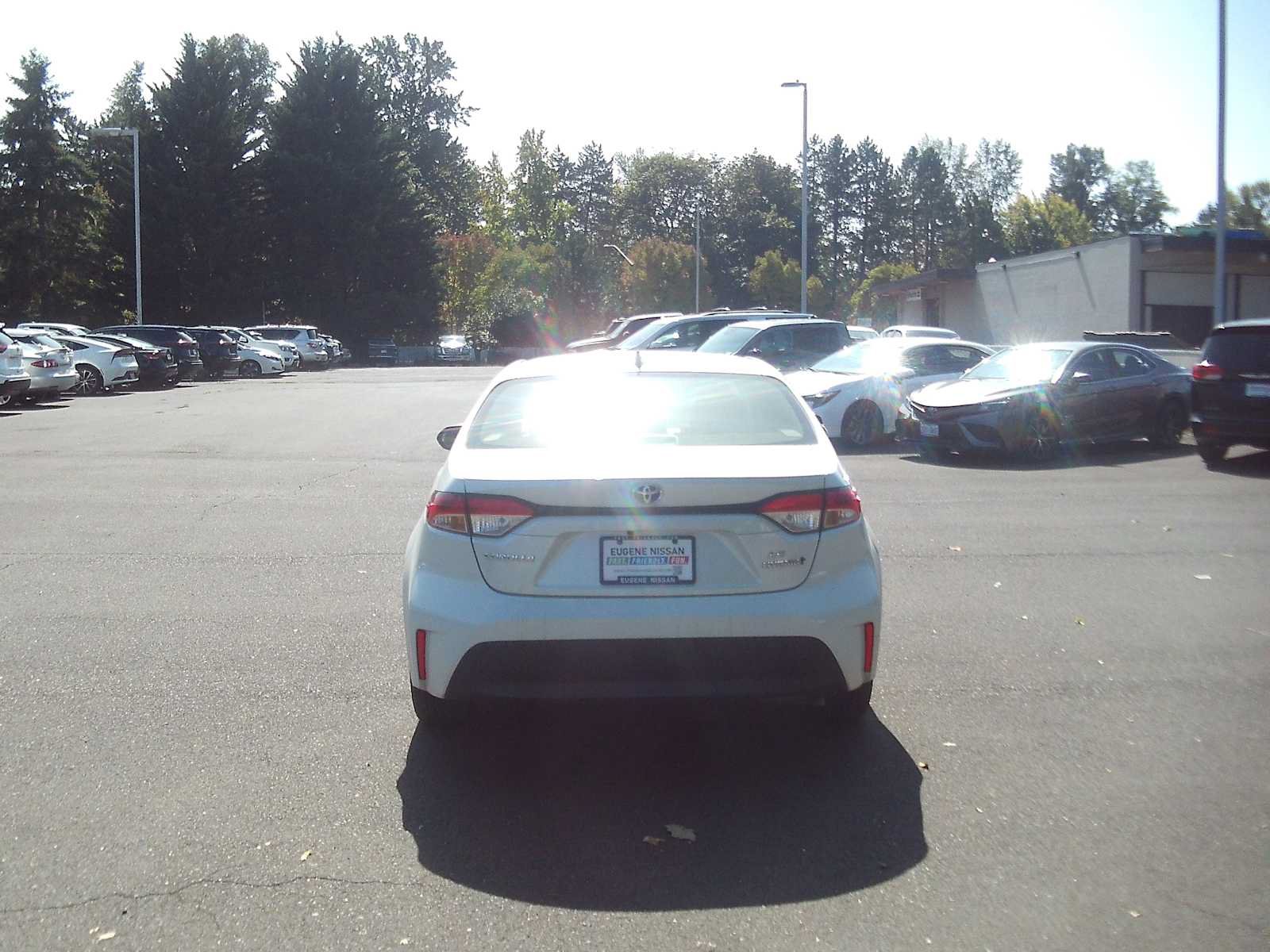 Used 2024 Toyota Corolla LE AWD/4WD image 4