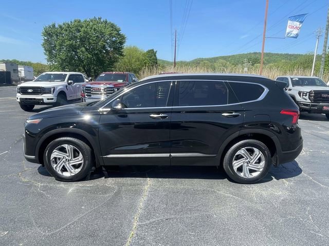 Used 2023 Hyundai Santa Fe SEL FWD image 2