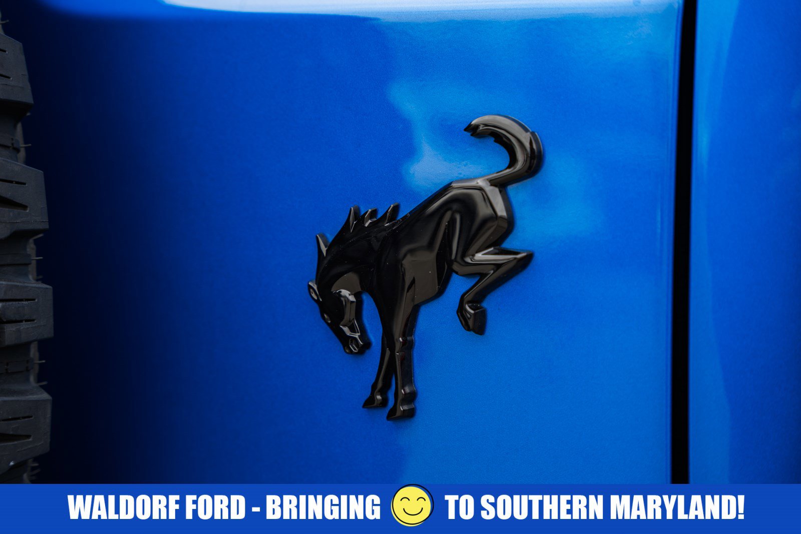 Used 2023 Ford Bronco Wildtrak image 9