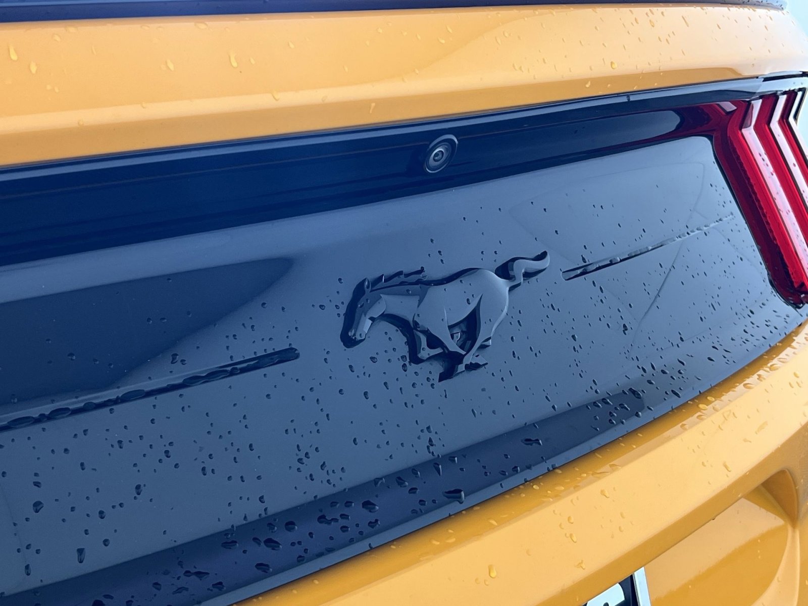 Used 2019 Ford Mustang Coupe w/ Equipment Group 101A image 27