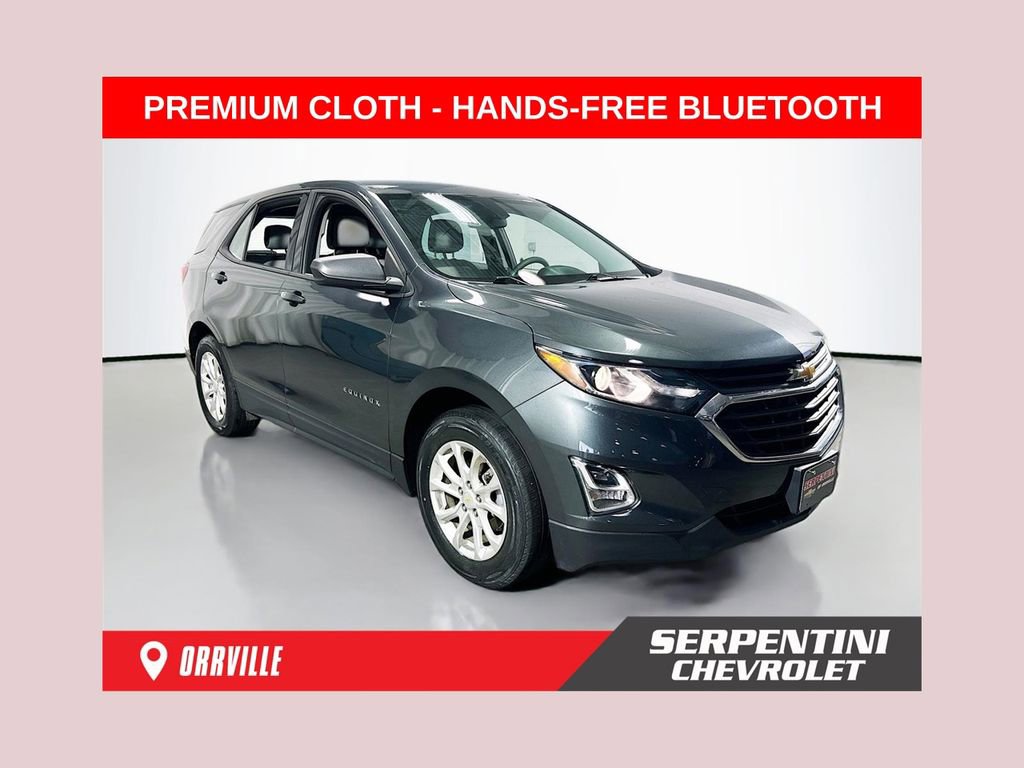 Used 2019 Chevrolet Equinox LS image 1