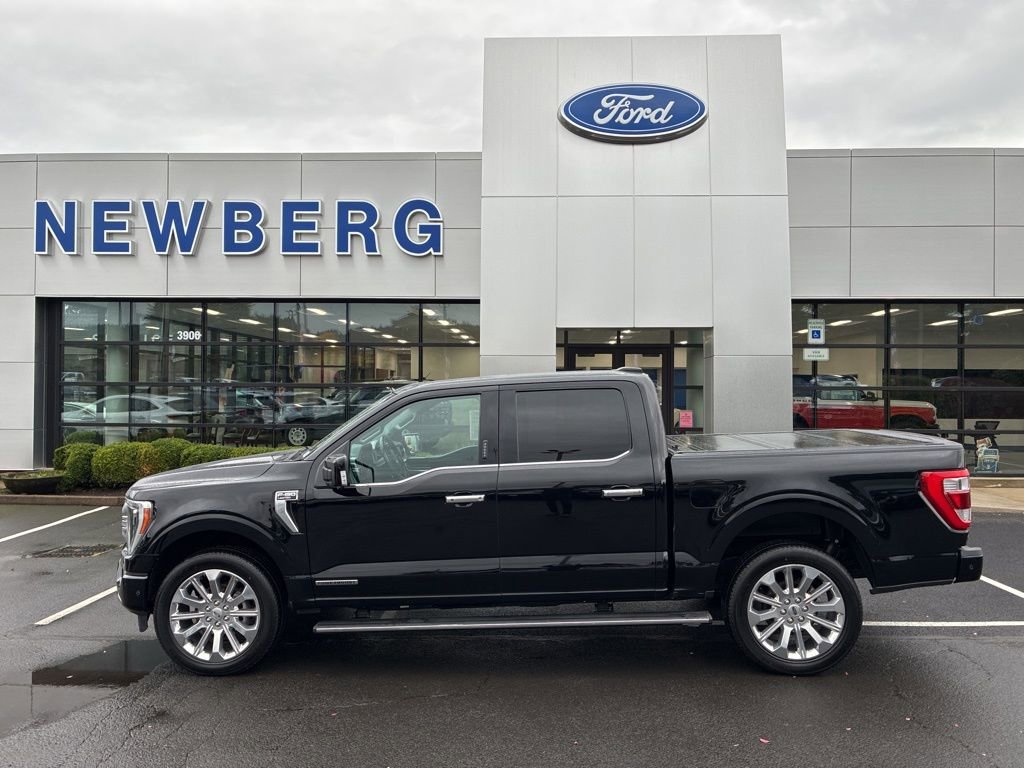 Used 2023 Ford F150 Limited image 4