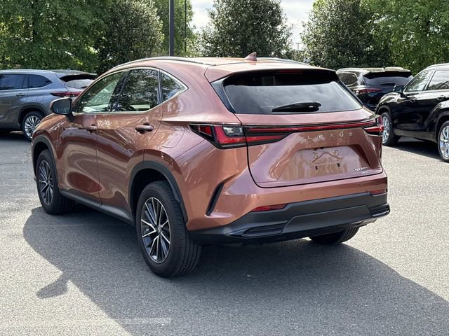 Used 2025 Lexus NX 250 AWD w/ Accessory Package (2T) image 4