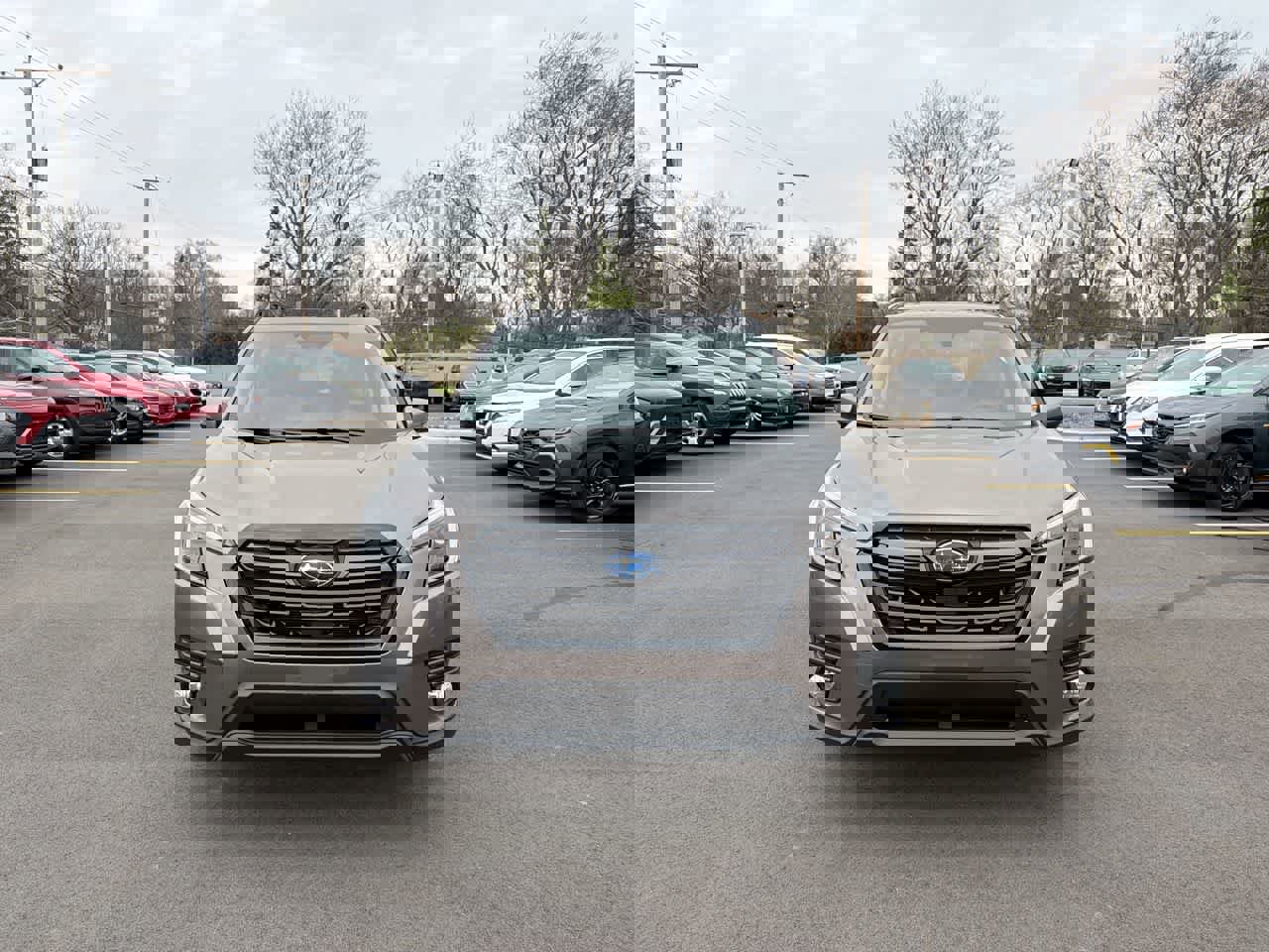 Certified 2023 Subaru Forester Limited image 16