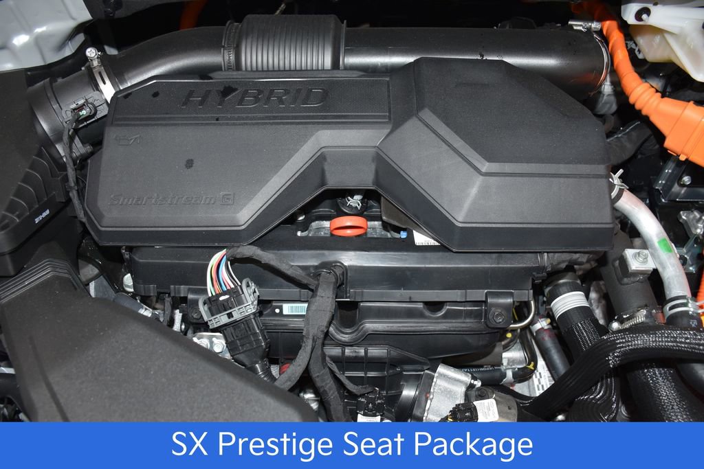 New 2026 Kia Carnival SX Prestige image 7