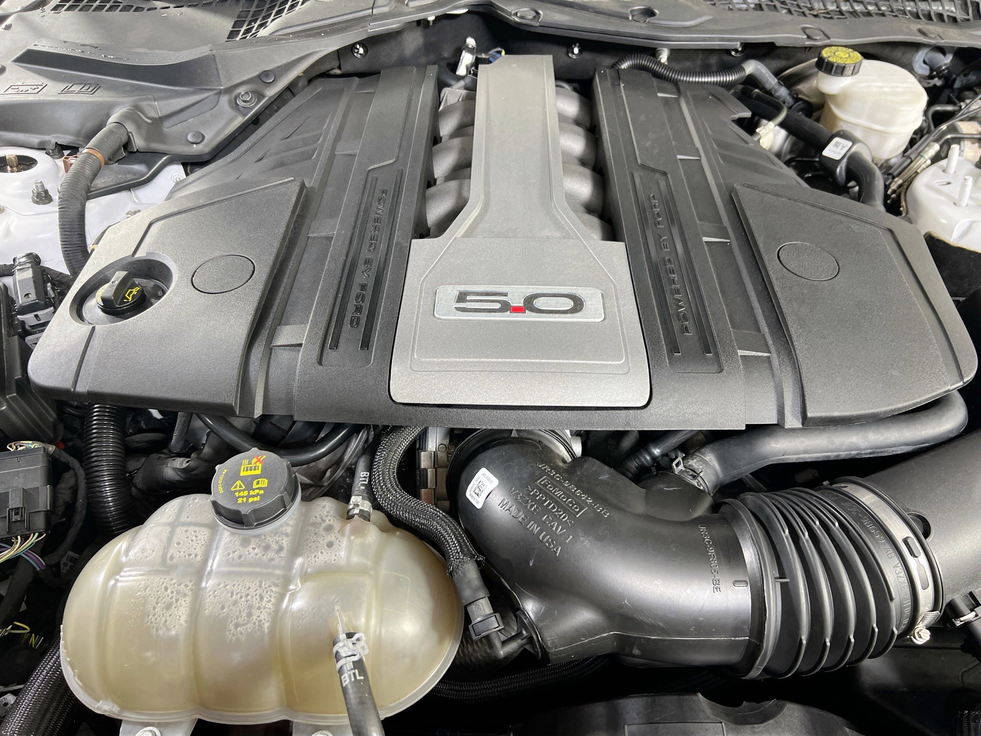 Used 2019 Ford Mustang GT Premium image 29