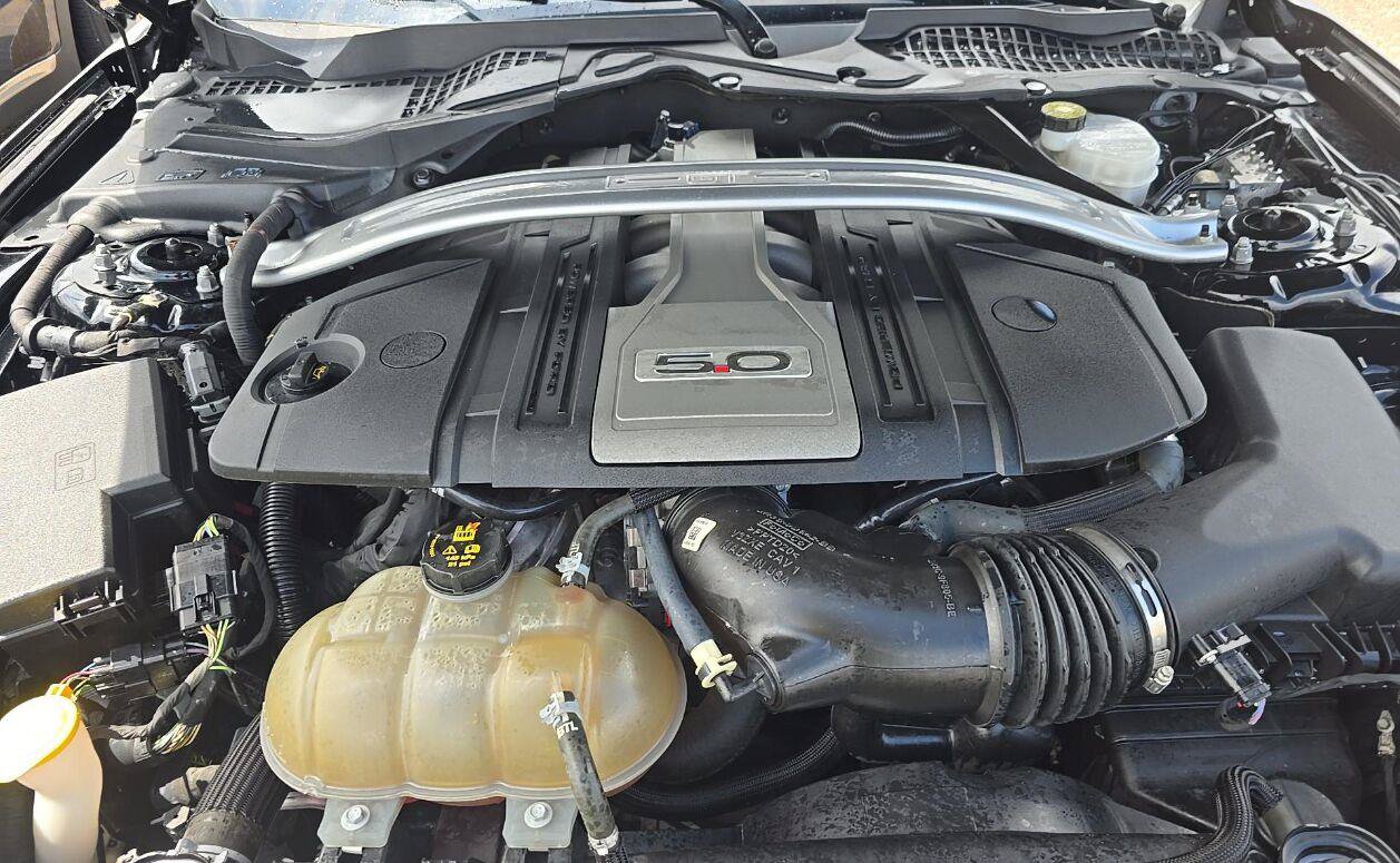 Used 2018 Ford Mustang GT Premium w/ Equipment Group 401A RWD image 3