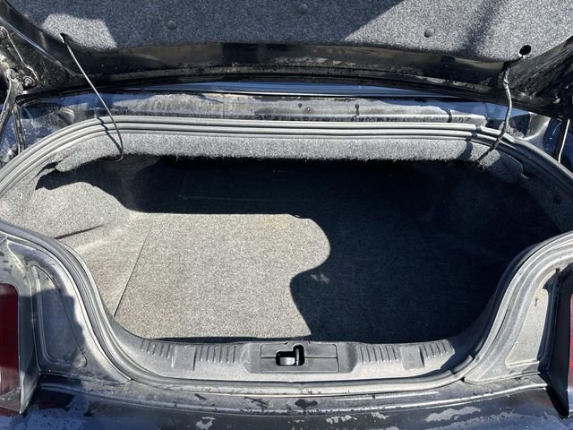 Used 2017 Ford Mustang Premium image 13