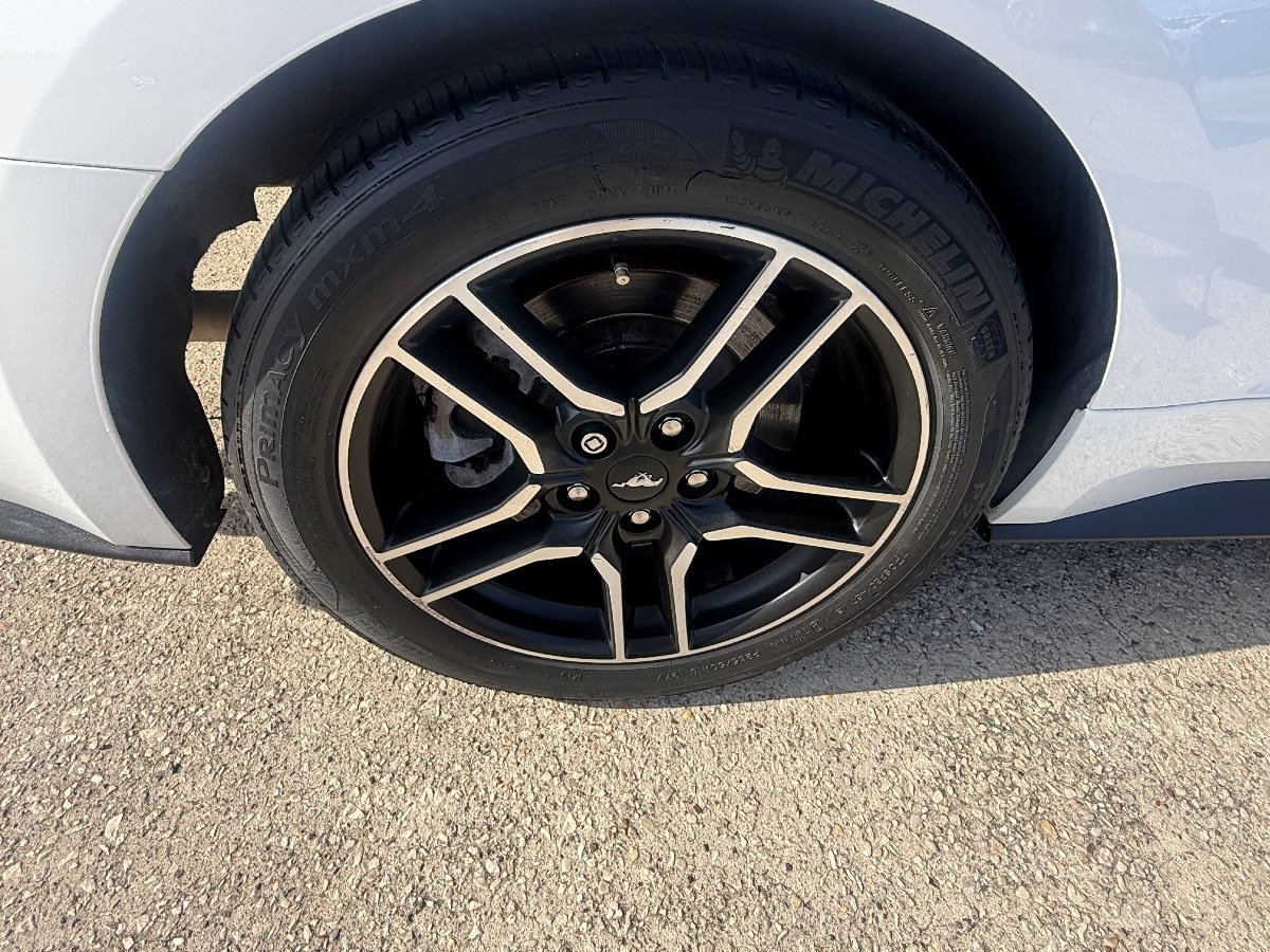 Used 2021 Ford Mustang GT Premium RWD image 11