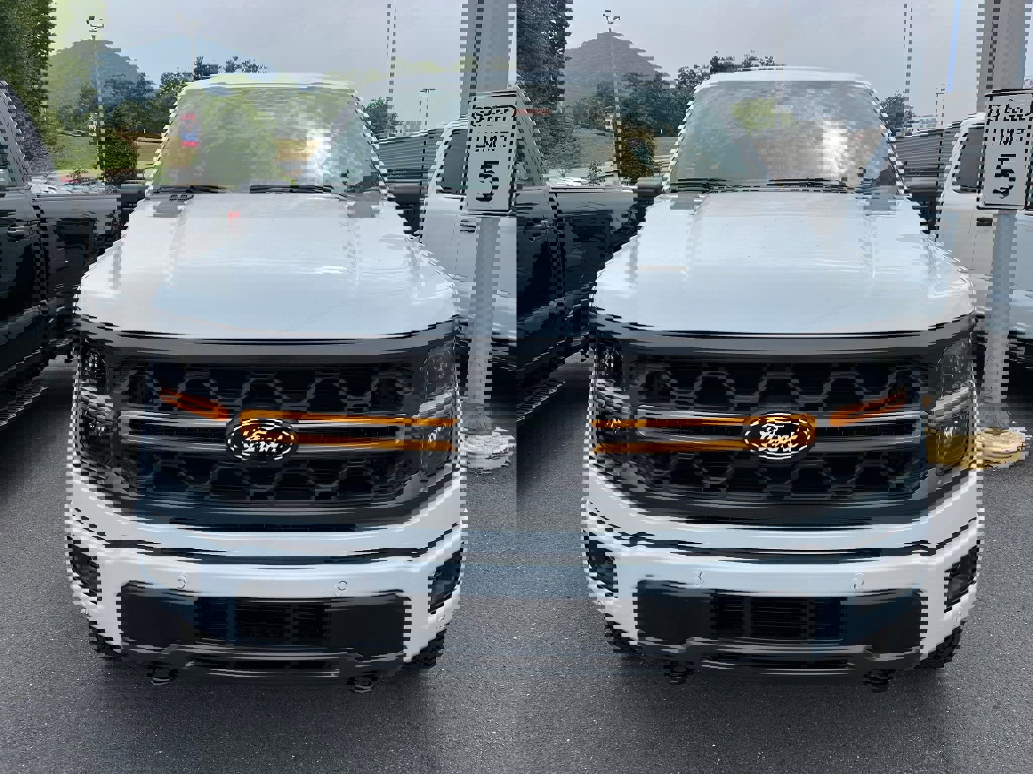 New 2025 Ford F150 Tremor video 2