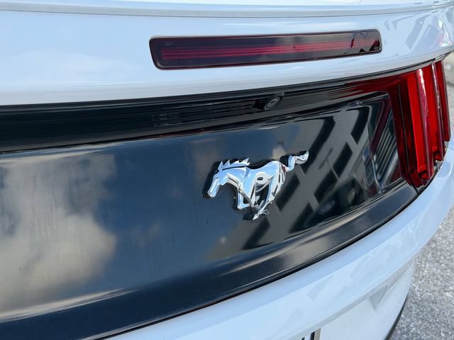 Used 2016 Ford Mustang Premium RWD image 13