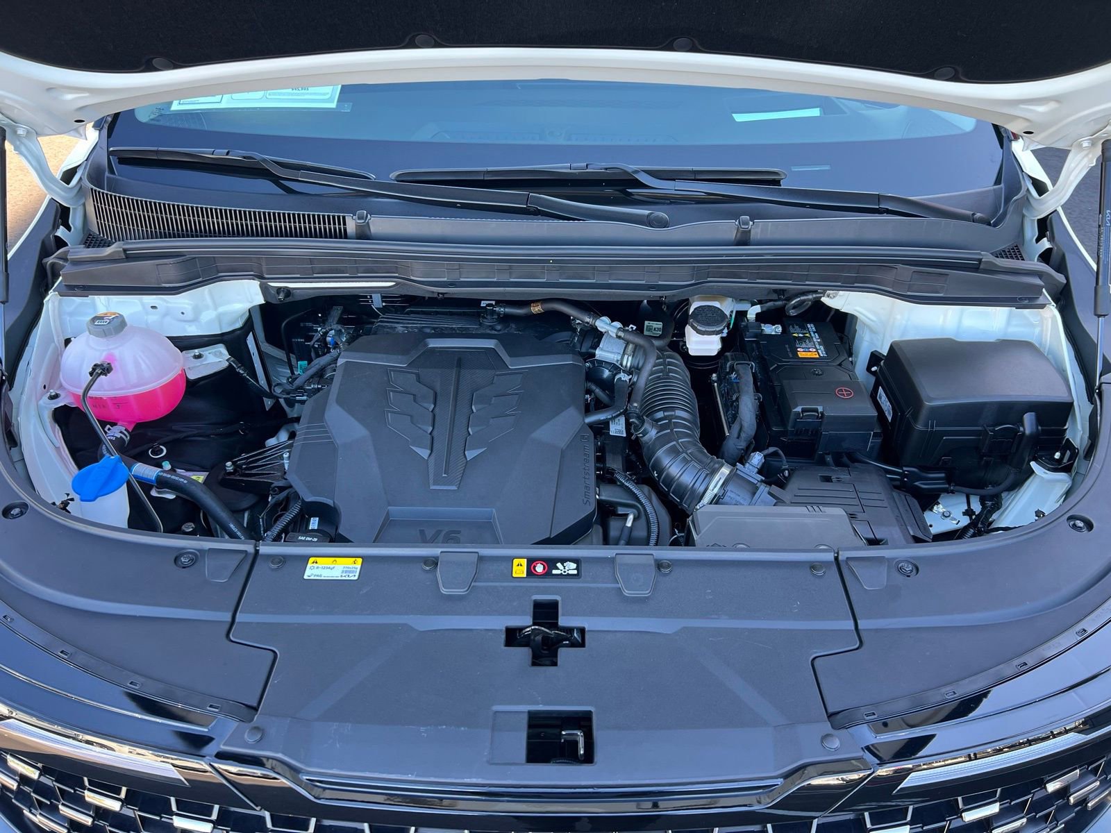 Used 2025 Kia Carnival SX Prestige image 19