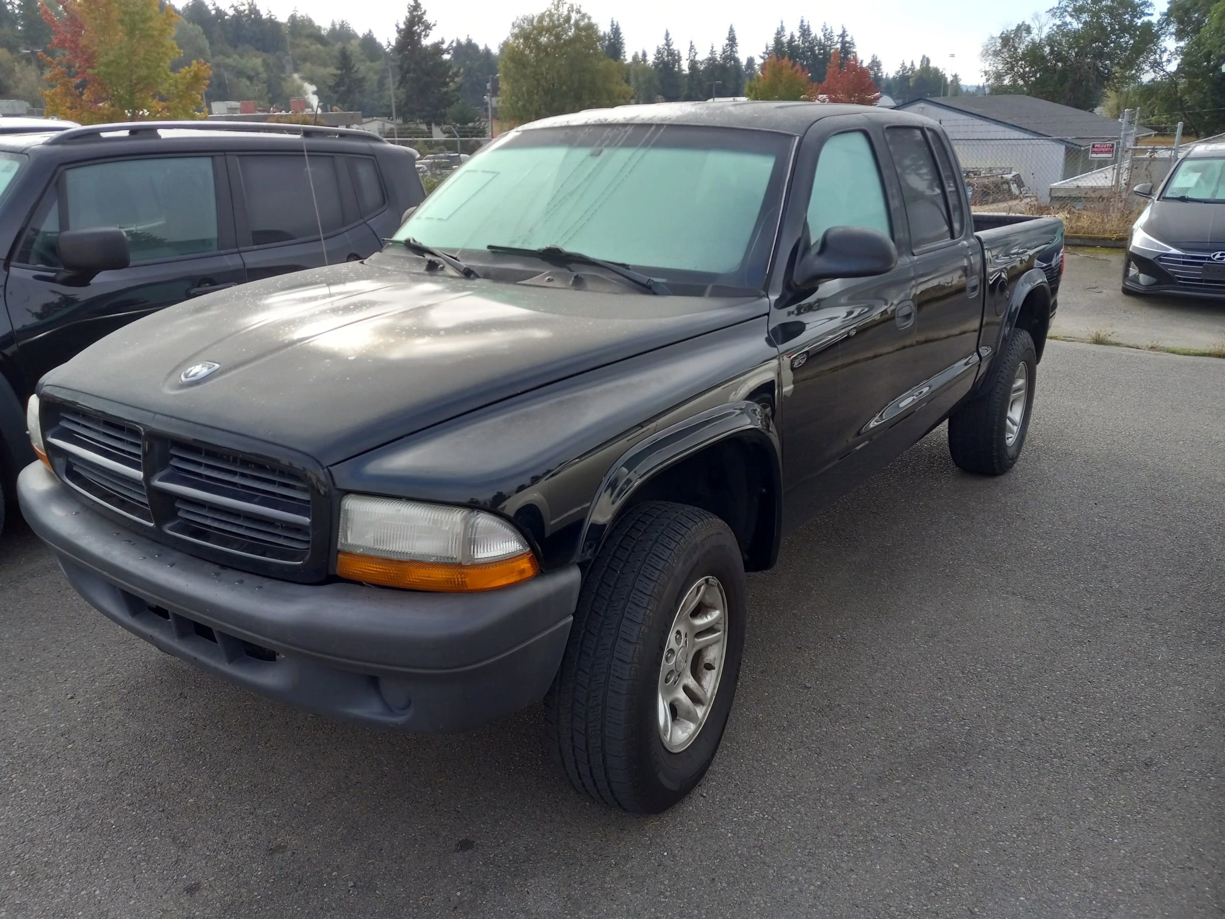 Used 2003 Dodge Dakota Sport