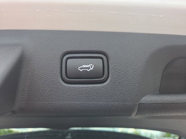 Used 2025 Hyundai Palisade Calligraphy AWD/4WD image 14