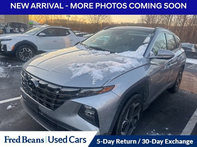 Used 2024 Hyundai Tucson Limited image 1