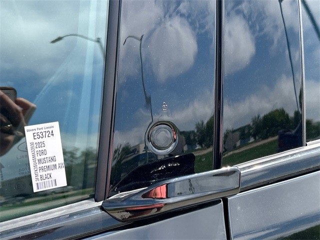 New 2025 Ford Mustang Mach-E Premium image 18