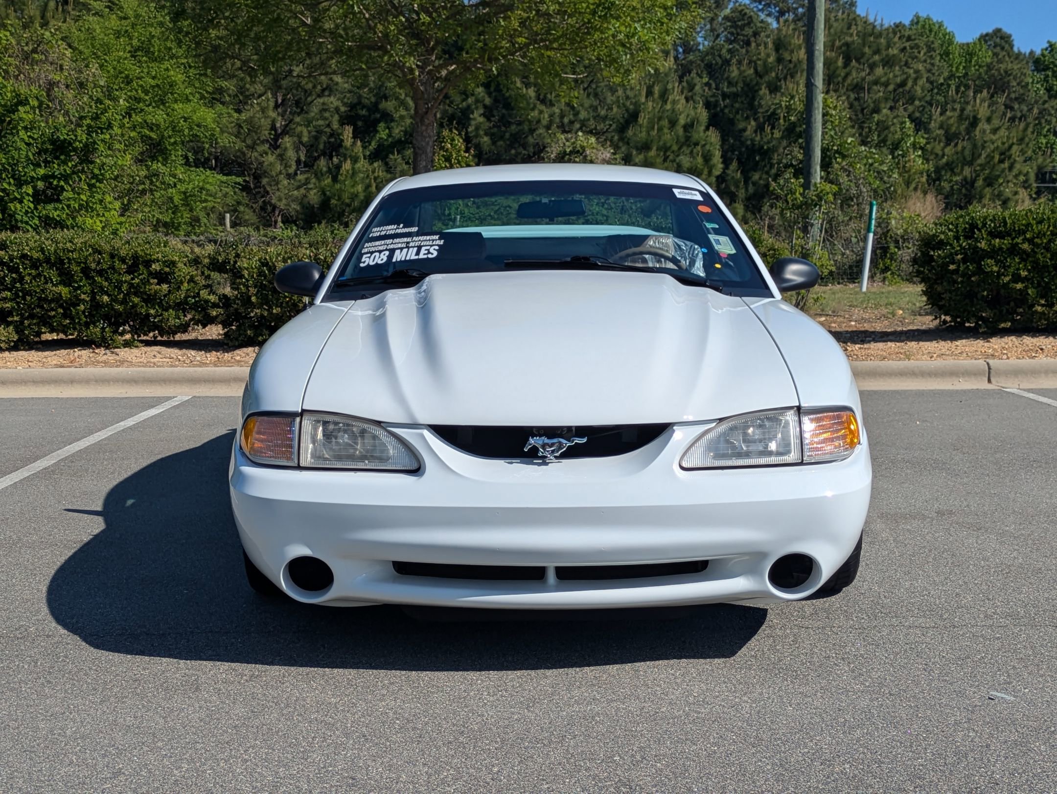Used 1995 Ford Mustang Cobra R image 9