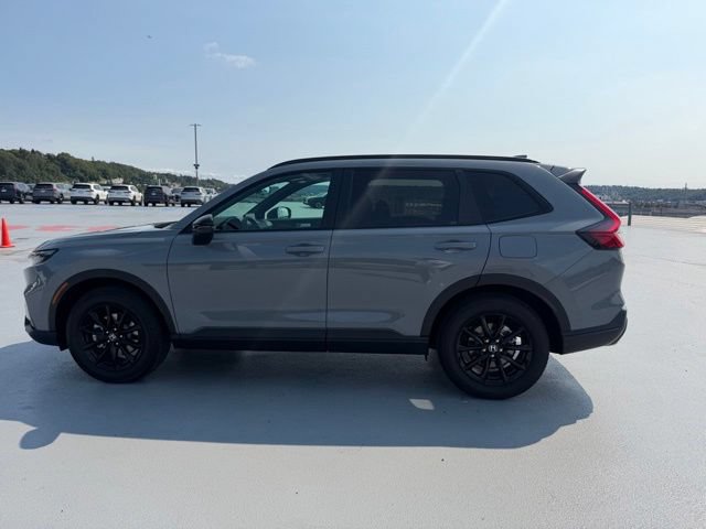 Certified 2026 Honda CR-V Sport image 10