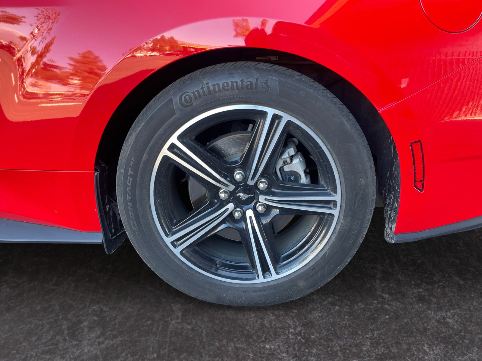 Used 2024 Ford Mustang Premium image 14