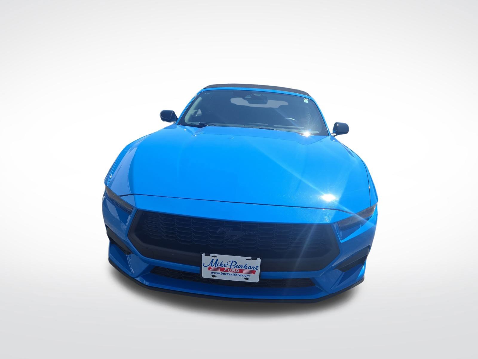 Used 2024 Ford Mustang Convertible w/ Mustang Nite Pony Package image 3