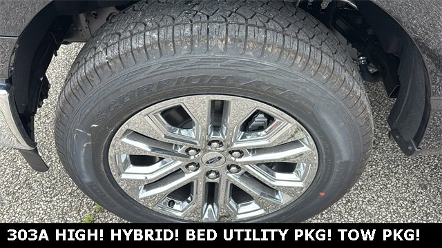 New 2025 Ford F150 XLT w/ Equipment Group 303A High image 35