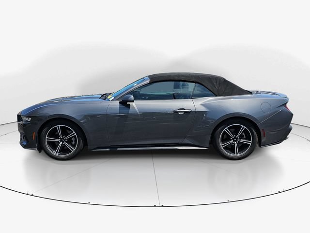 Used 2024 Ford Mustang Premium RWD image 6