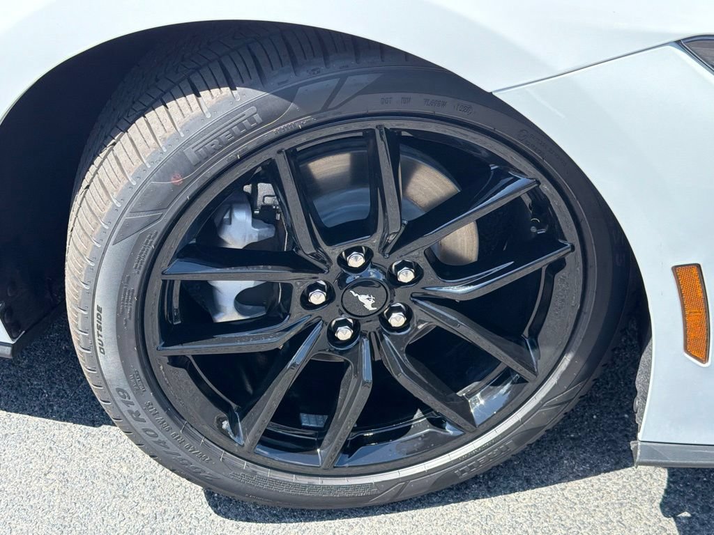 New 2026 Ford Mustang Coupe w/ Mustang Nite Pony Package RWD image 18