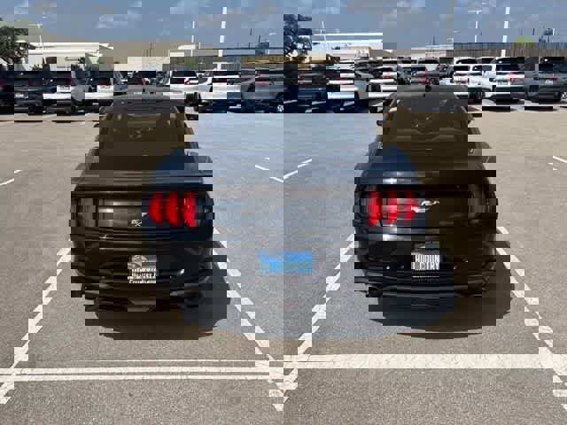 Used 2023 Ford Mustang Coupe w/ Equipment Group 101A RWD image 4