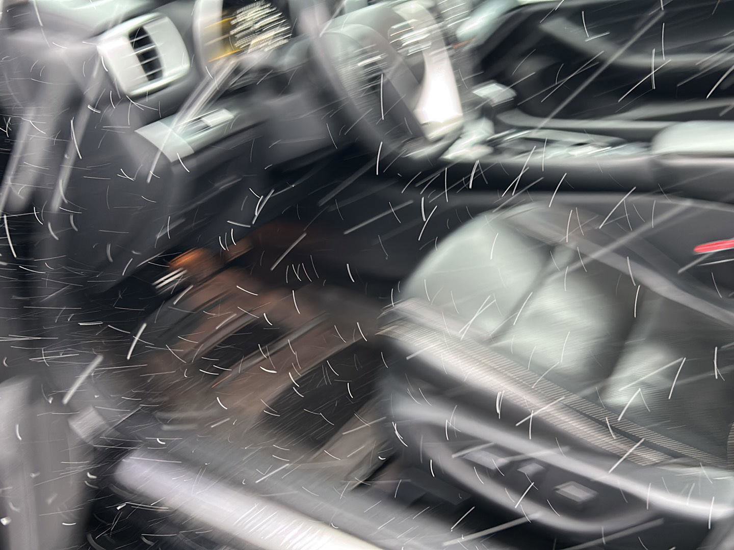 Used 2021 Nissan Maxima 3.5 SV w/ Floor Mat Group image 9